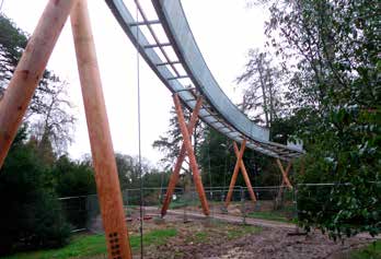 File:Stihl Treetop Walkway-5.jpg