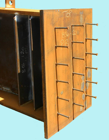 File:R4 Fig17.png