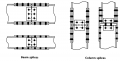 Thumbnail for version as of 09:35, 3 July 2012