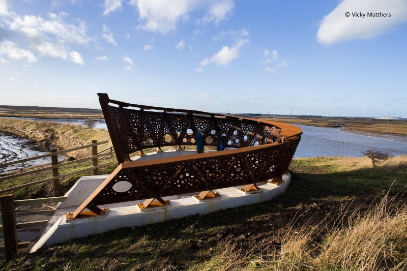 File:Greatham Creek Seal Hide-1.jpg