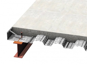C8fig2.jpg
